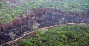 MinAmbiente impulsa la creación de la primera empresa para 148 familias que  viven en áreas de deforestación – Noticias Principales de Colombia Radio  Santa Fe 1070 am